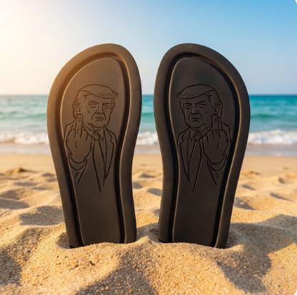 Donald Trump Flip Flop